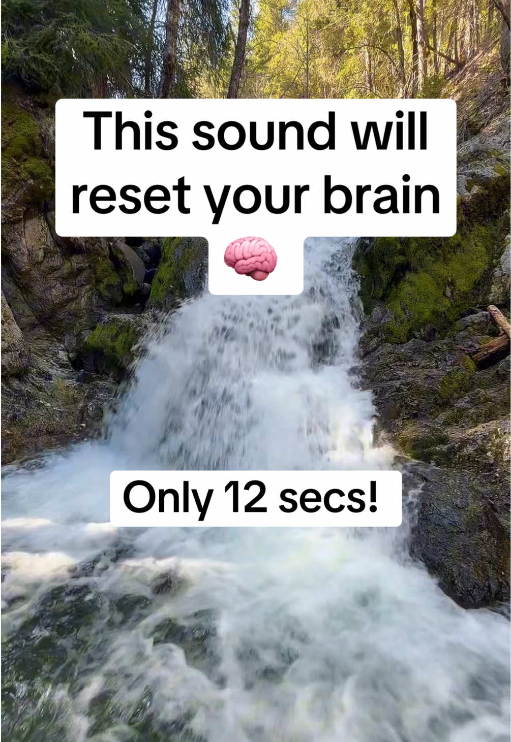 @banahwinn