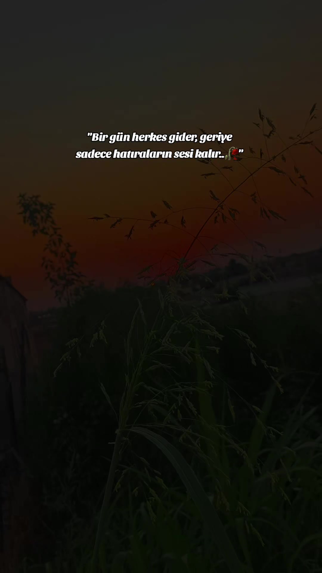 @𝐒 𝐓 𝐄 𝐑 𝐊 ✷