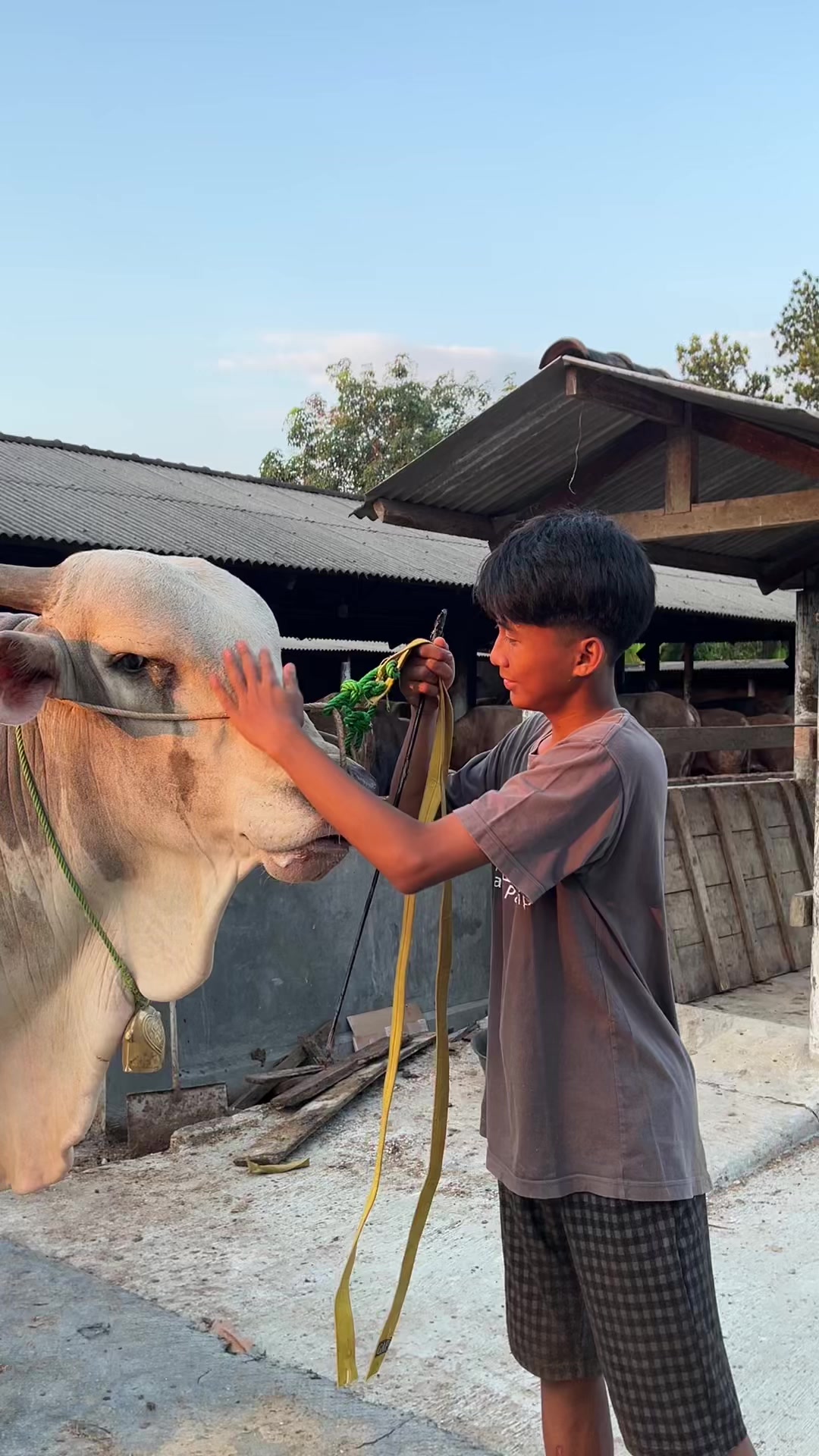 @Wisnu Farm Lampung