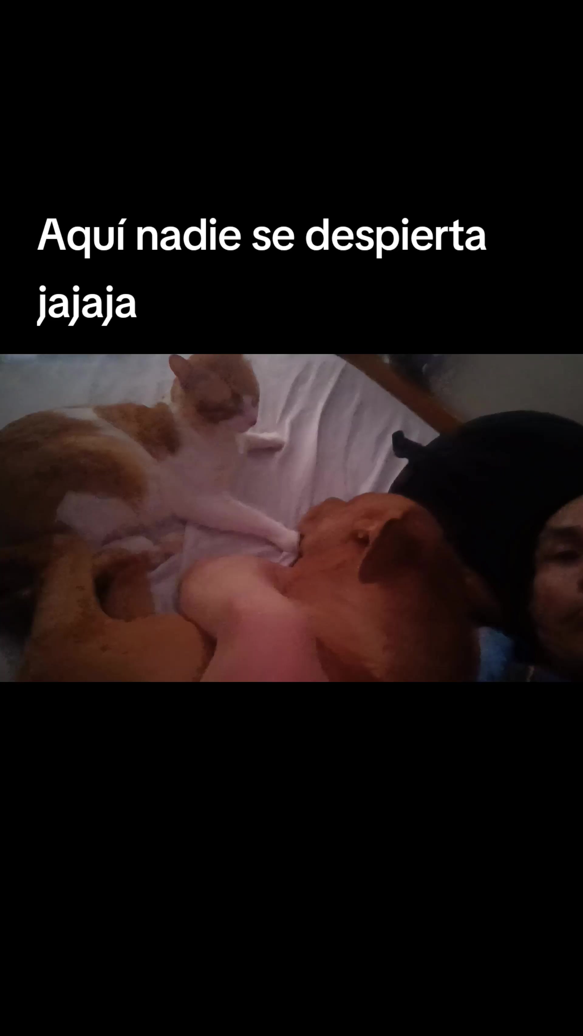 @Raul Alarcón Miranda