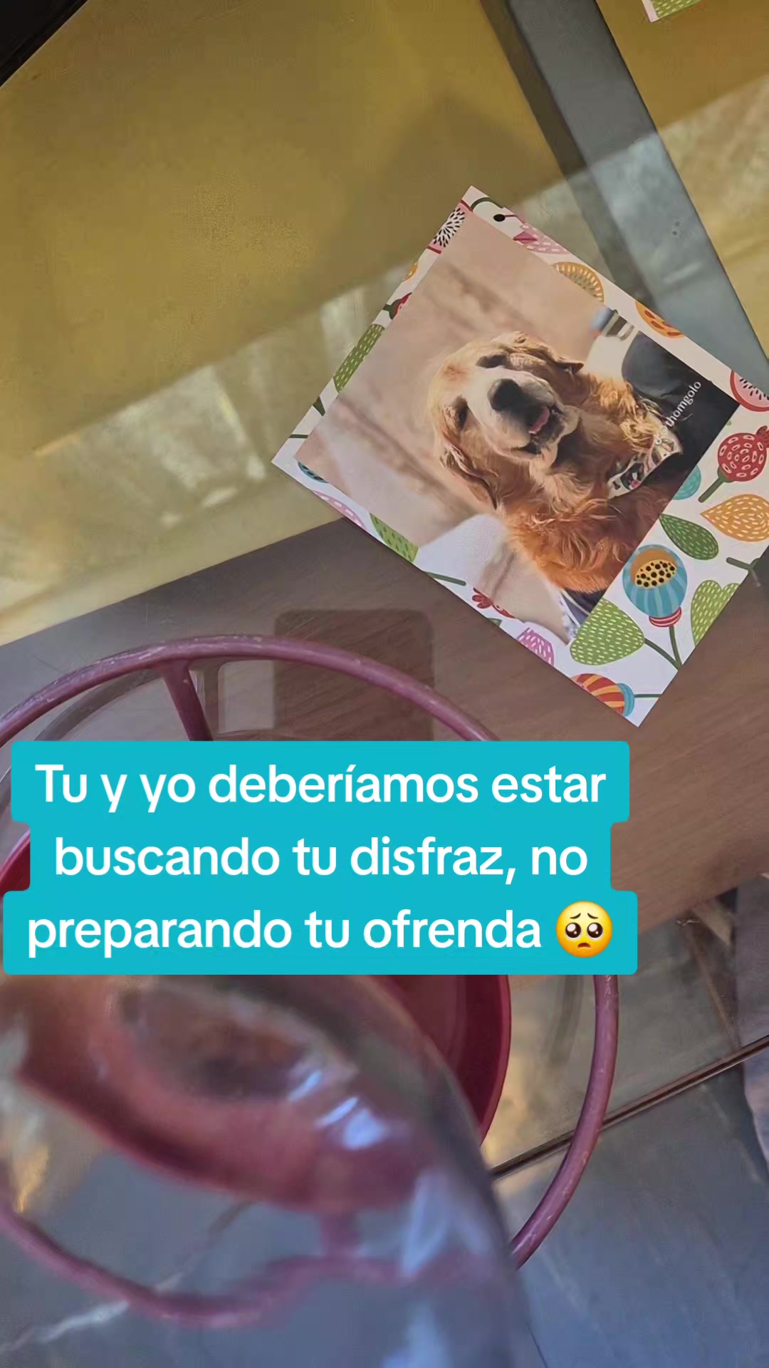 @Alvin Doradito 🐕