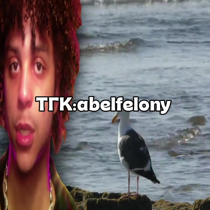 @тгк:abelfelony