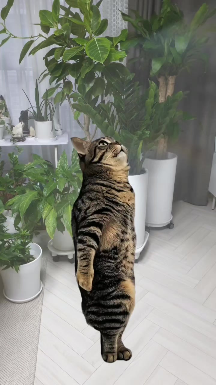 @올싱나야