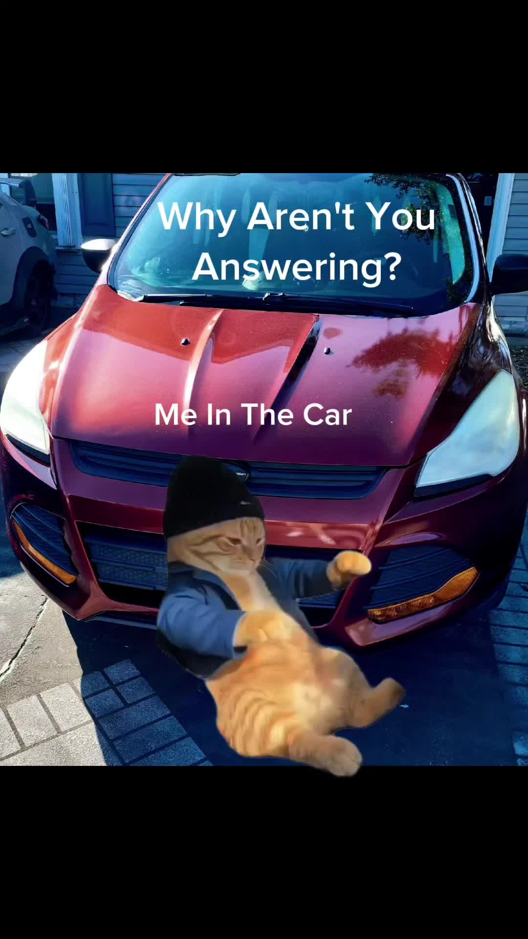@𖤍 𝑇𝑦𝑙𝑒𝑟 𖤍