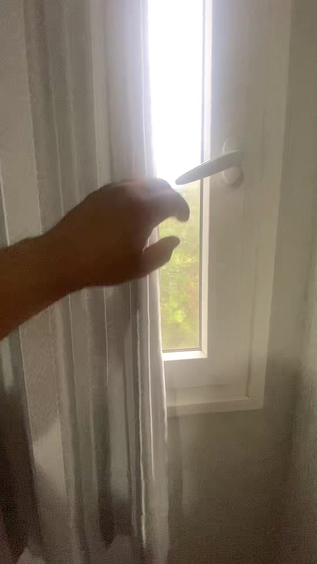 @pedro.guillera