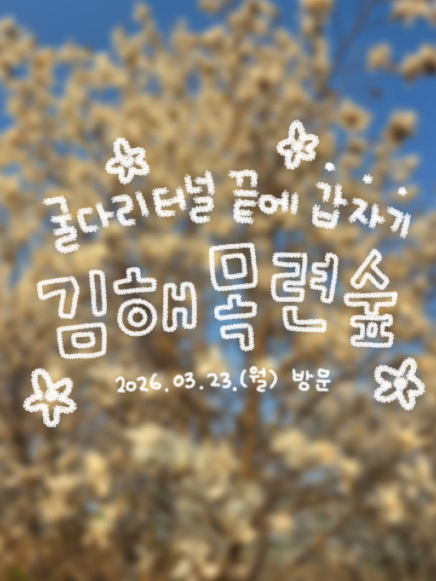 @오늘의 금지