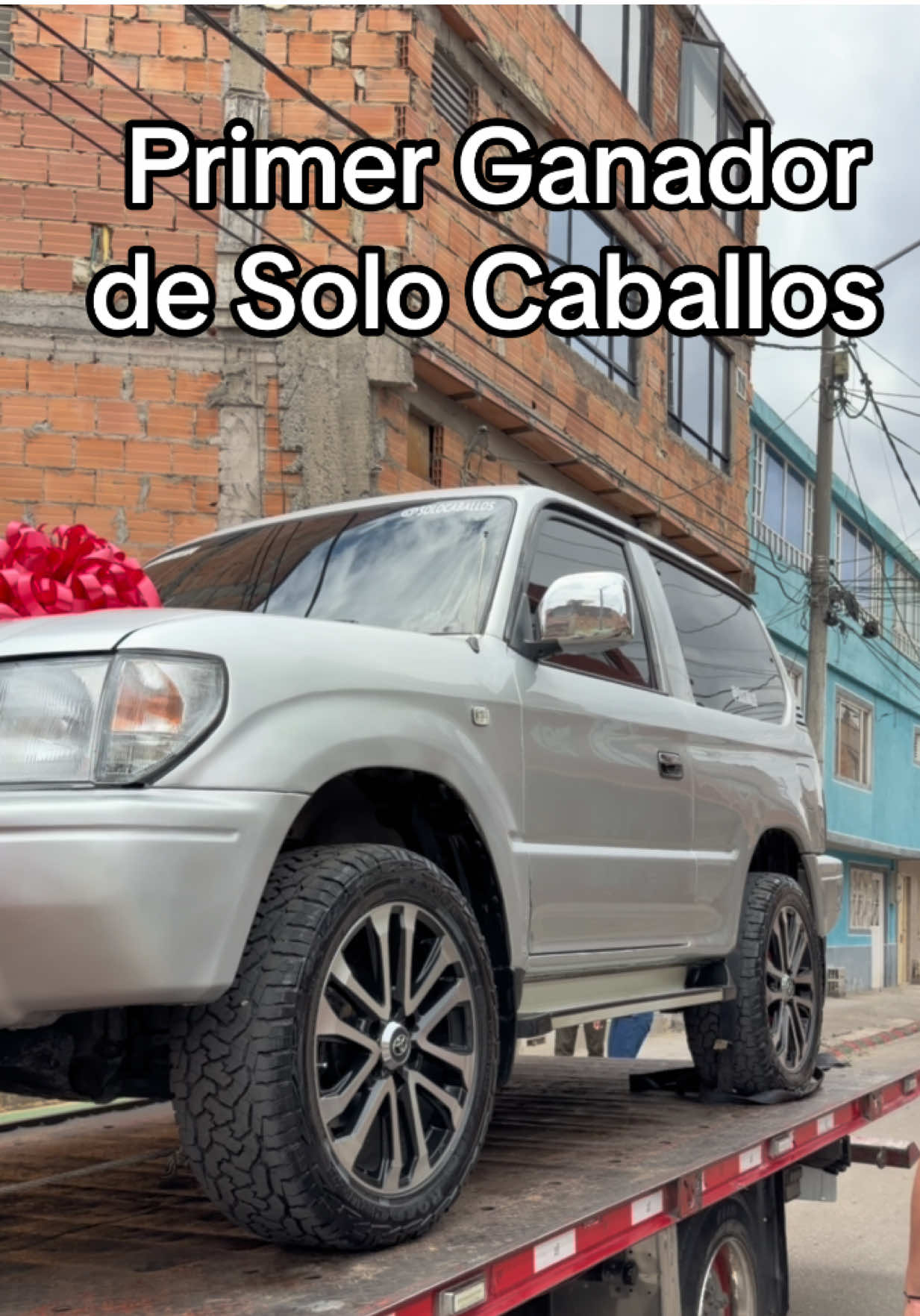 @Solo Caballos