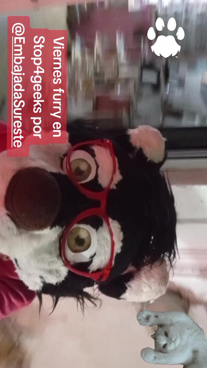 @Jabu Husky