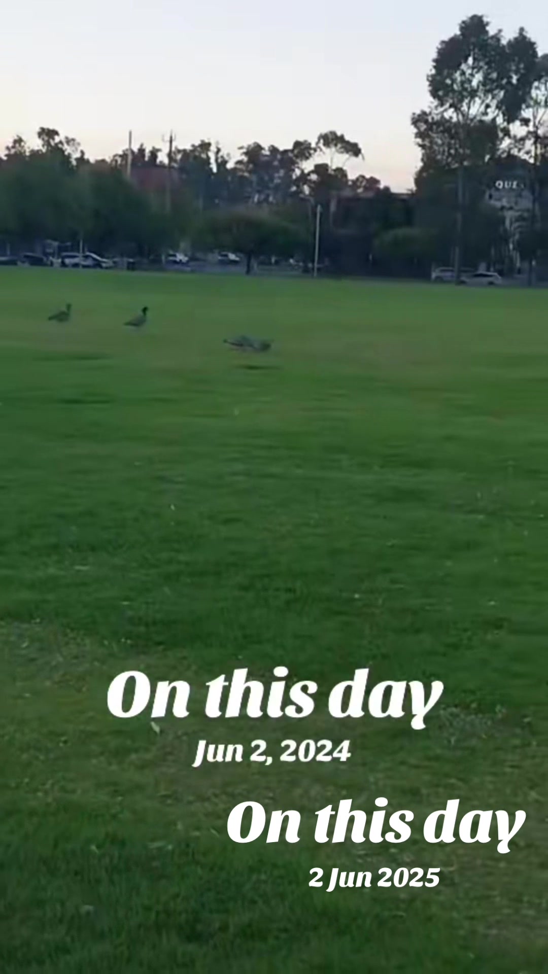 @Jasmeet kaur 09