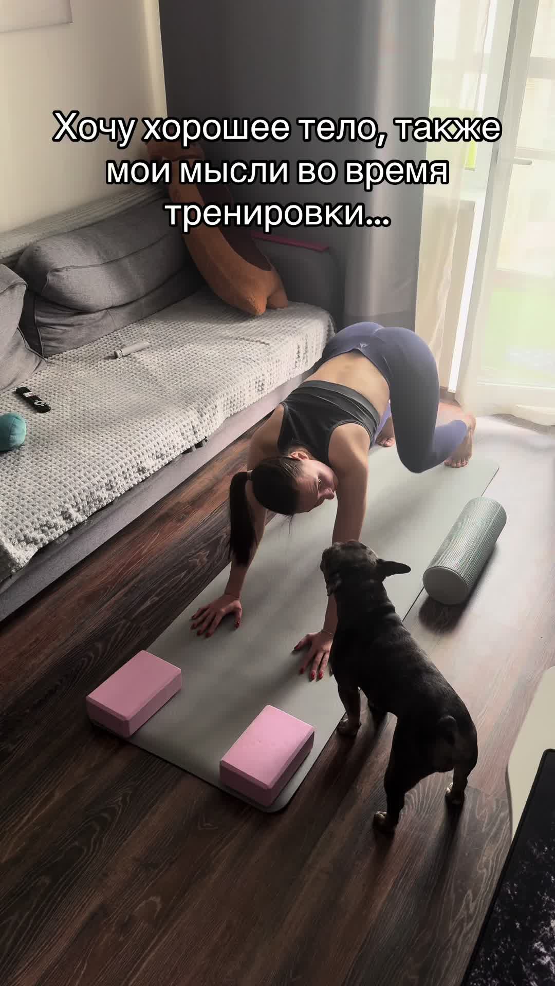 @MoooreLemur