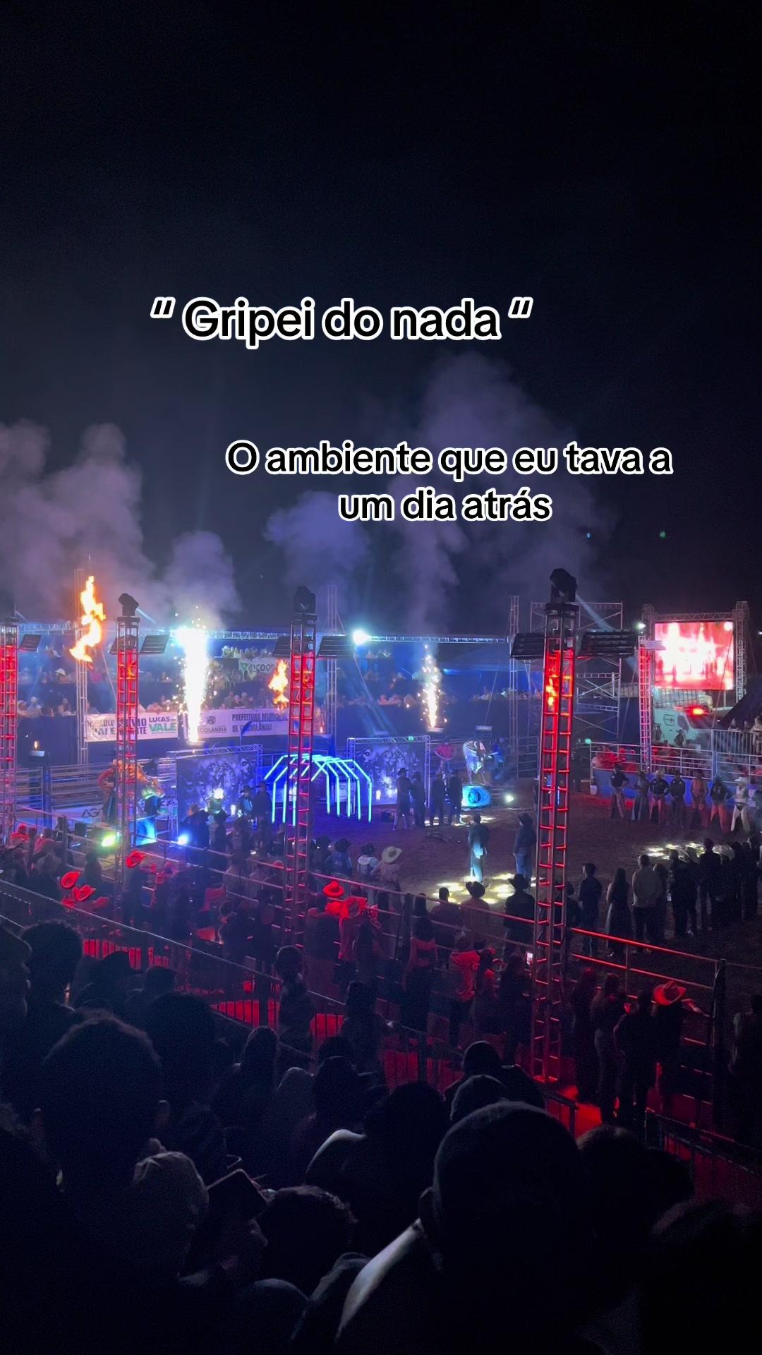 @ribeiro_evellyn