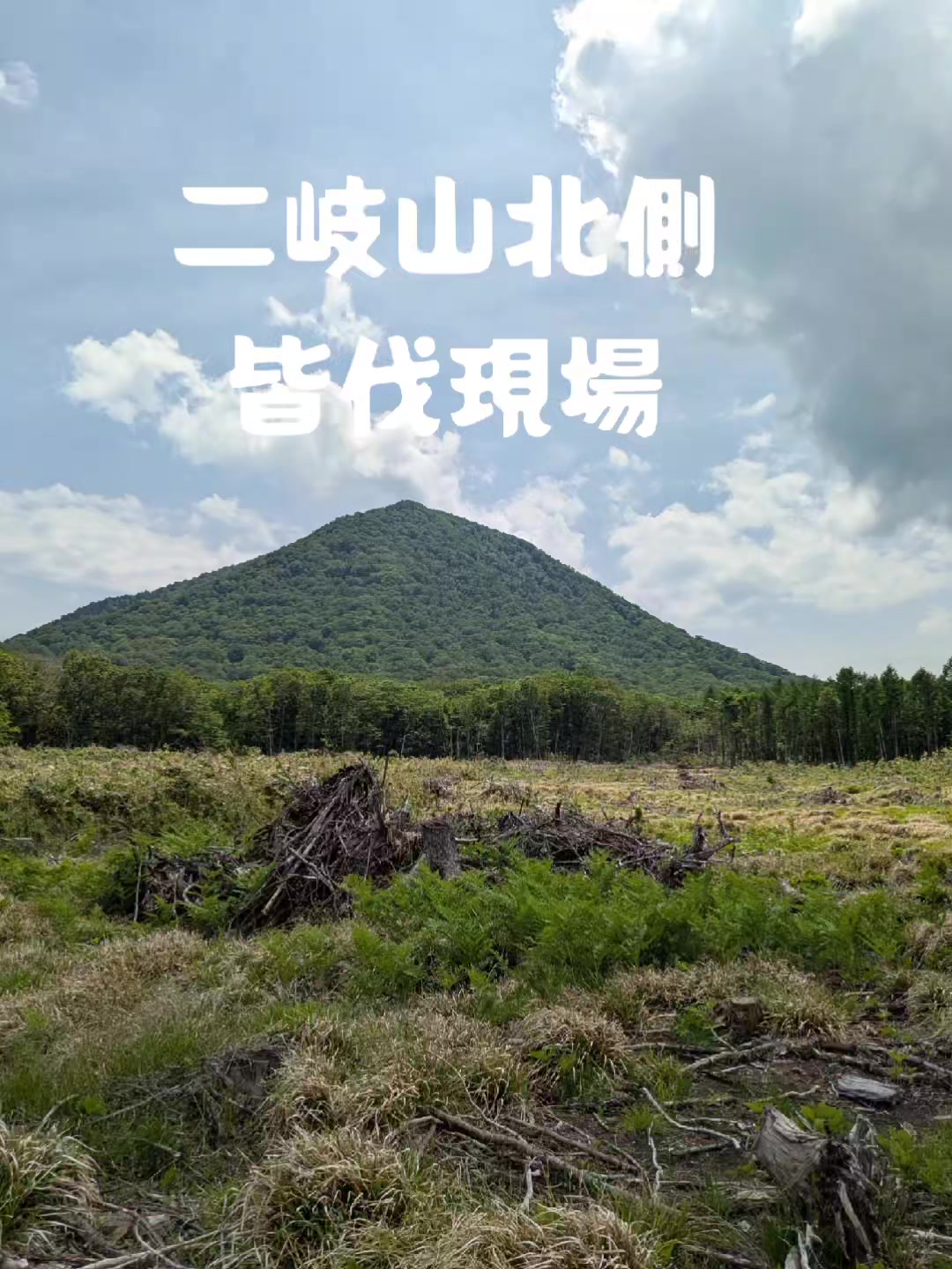 @若旦那