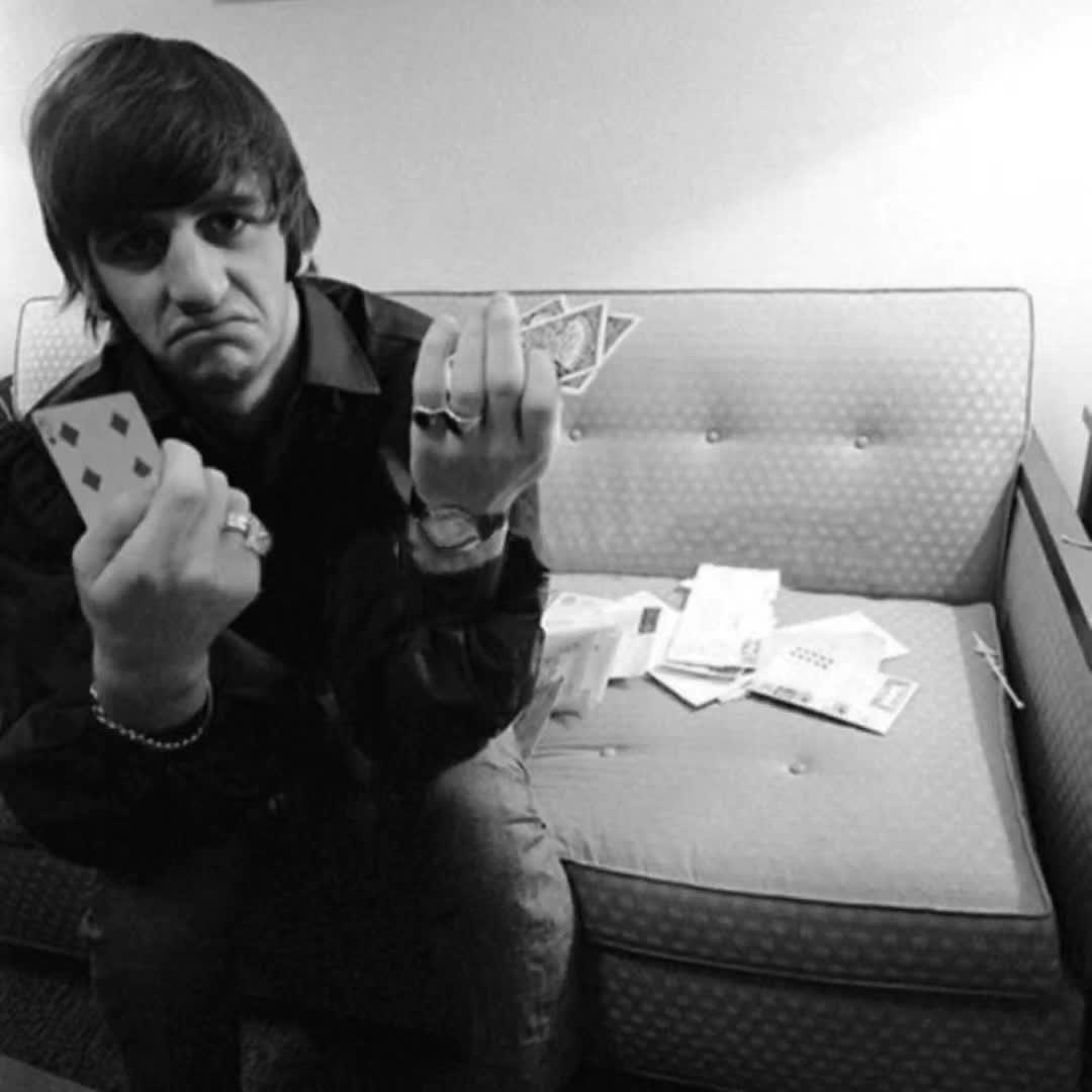 @✦—Ringo!—✦