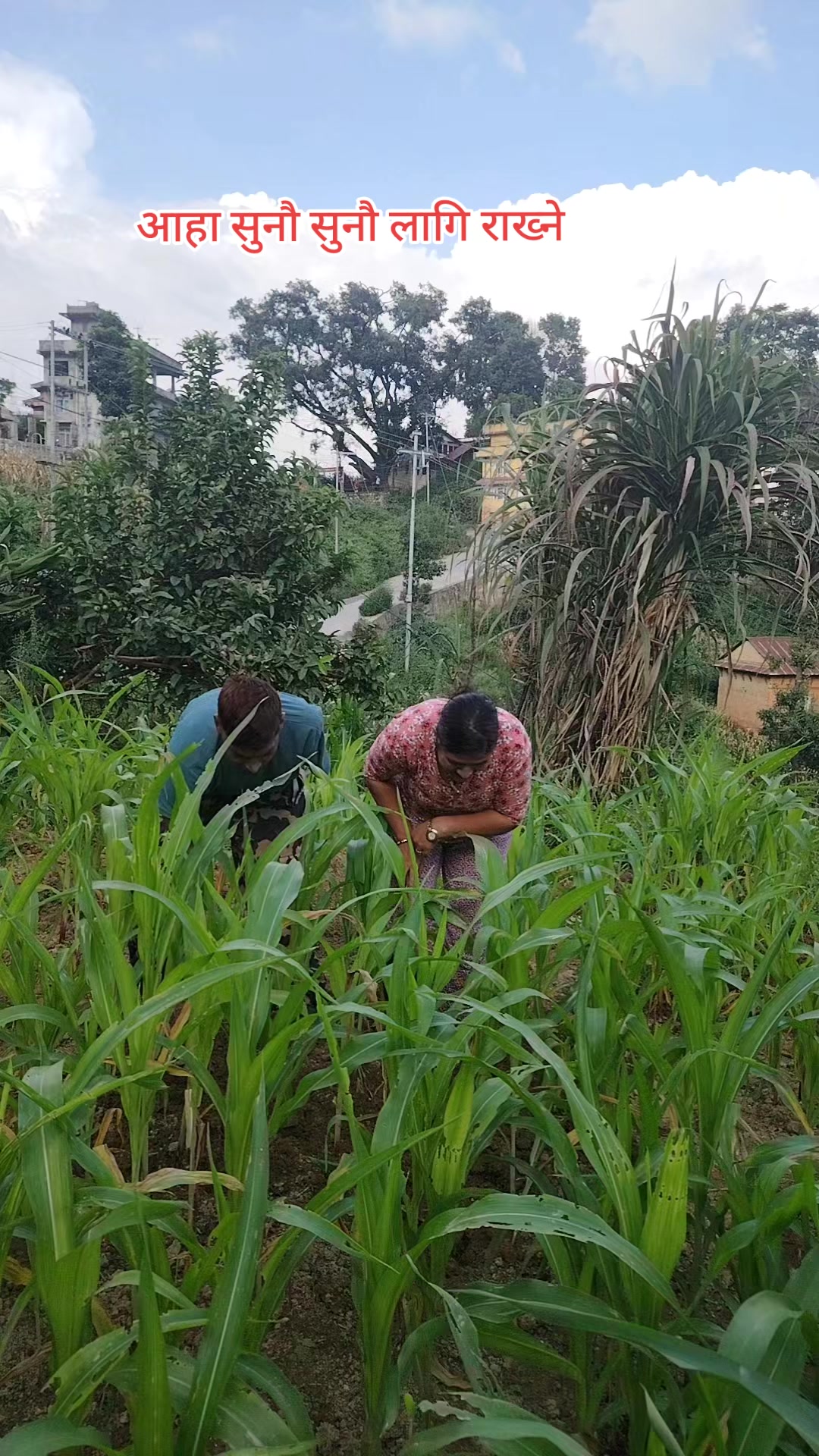 @अधिकारी लक्ष्मी