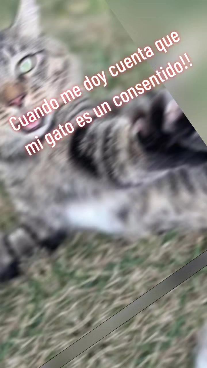 @alehoss