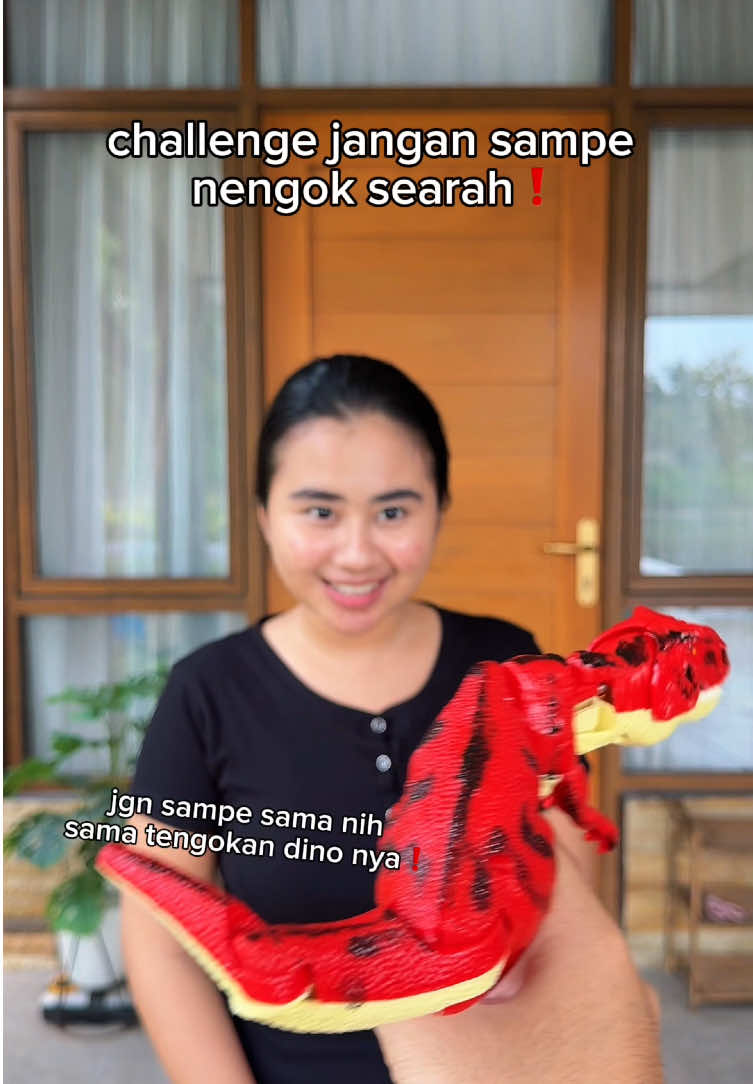 @miftahmbrk