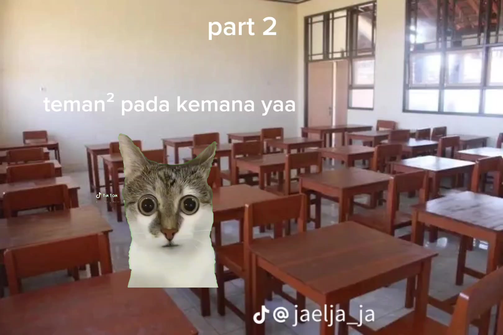 @aelanaaa