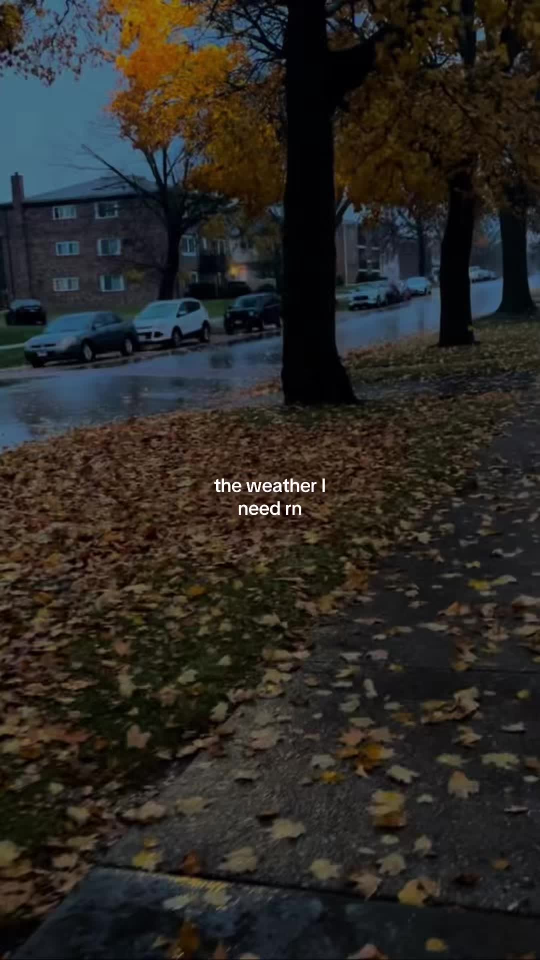 @spookyseasonftw