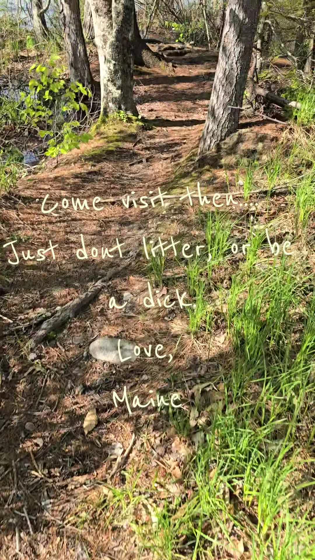 @🌲Steph🆘️🇺🇸🇵🇸
