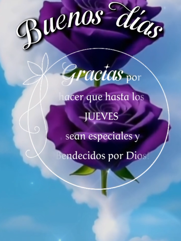 @MaríAlejandra59.