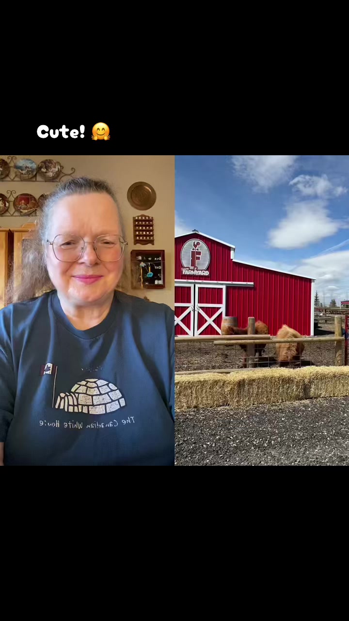 @Cathy from Canada 🇨🇦