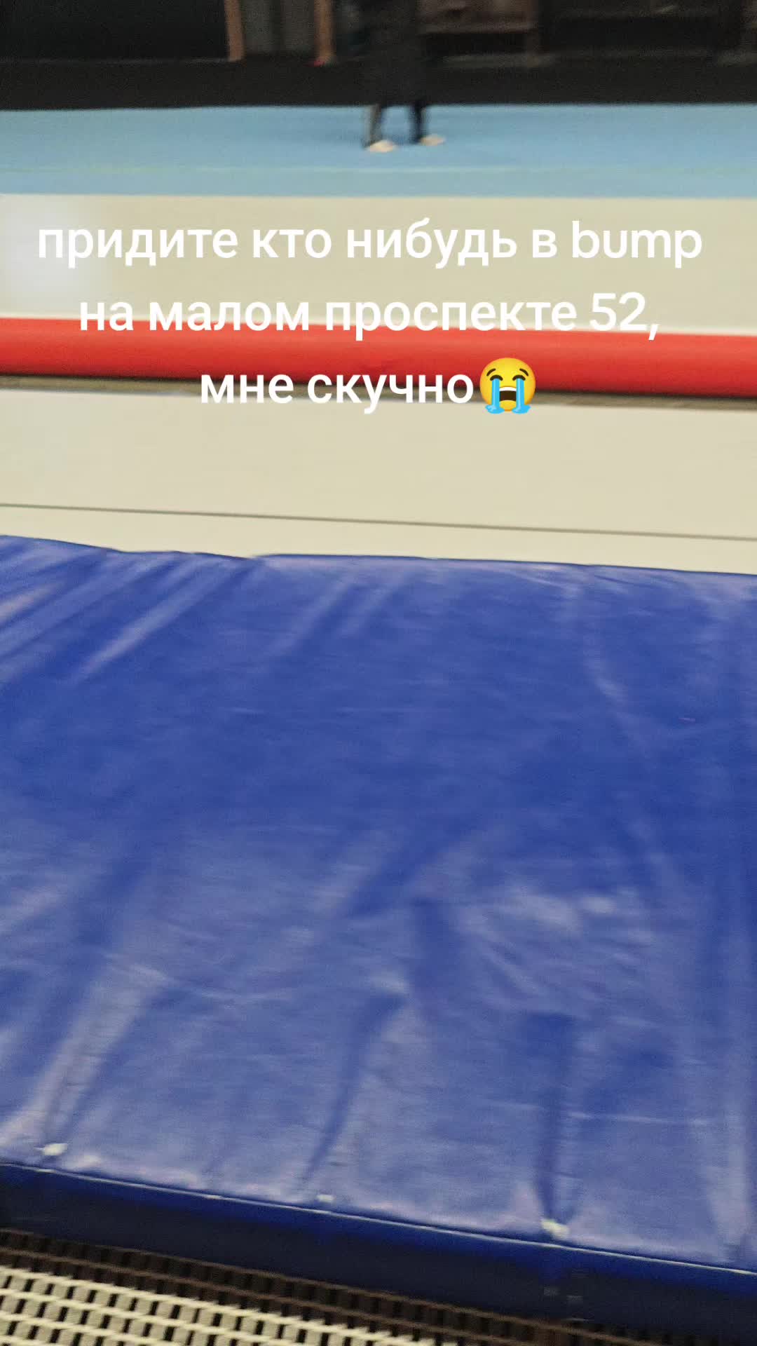 @дом кота🍎🎹