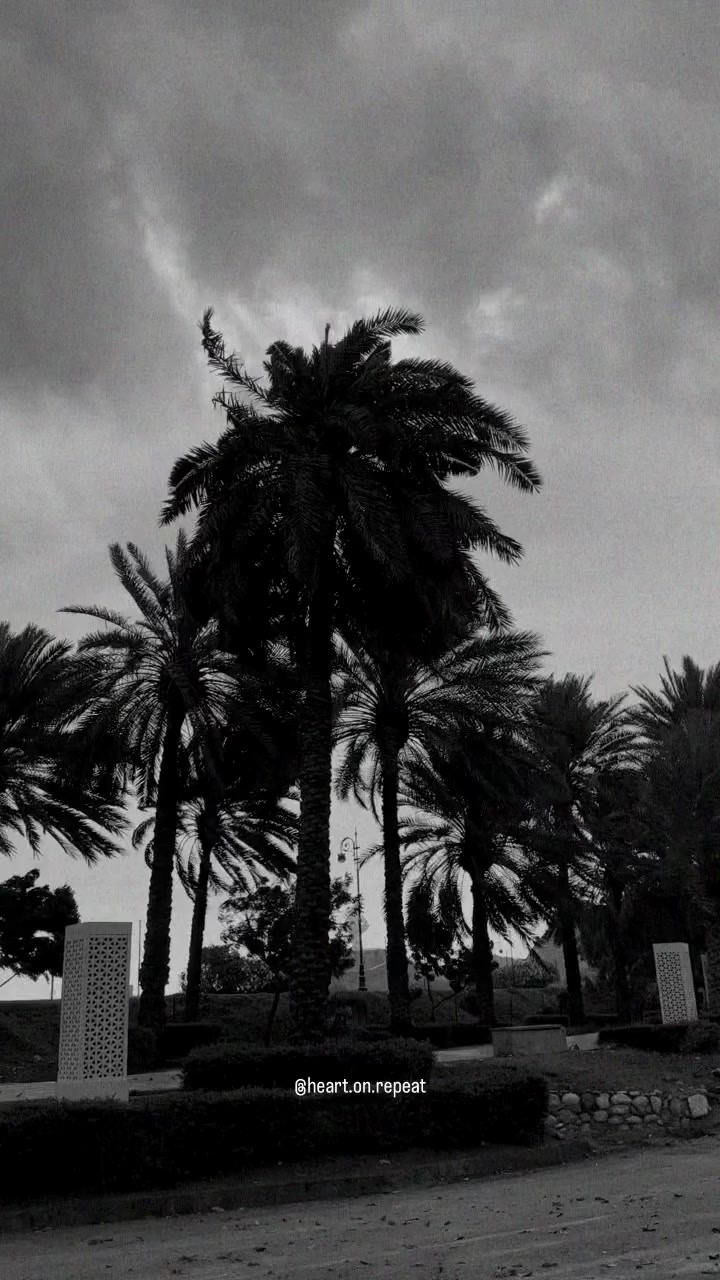 @வலியின் ராஜா💔