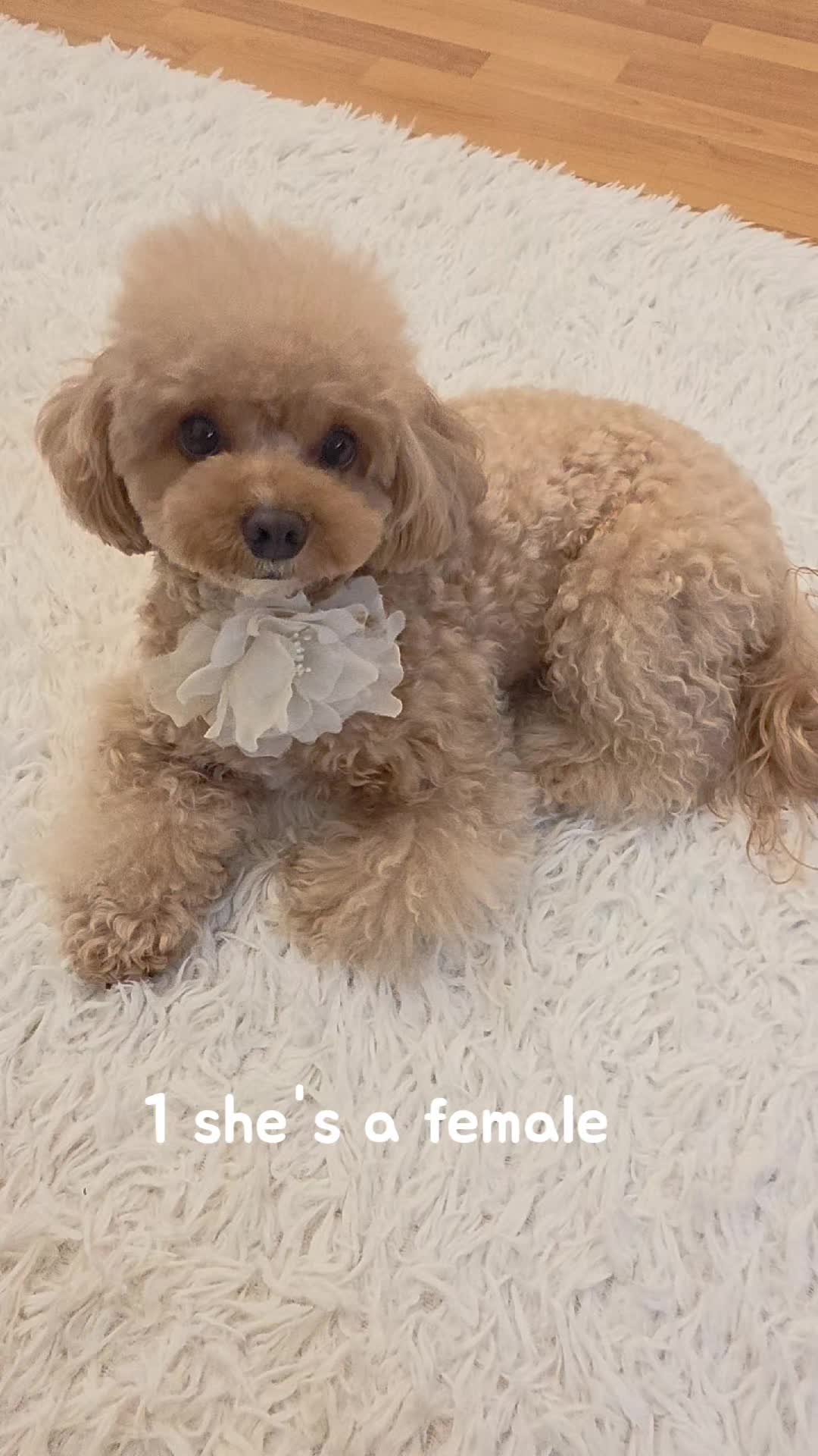 @Teddy12_22