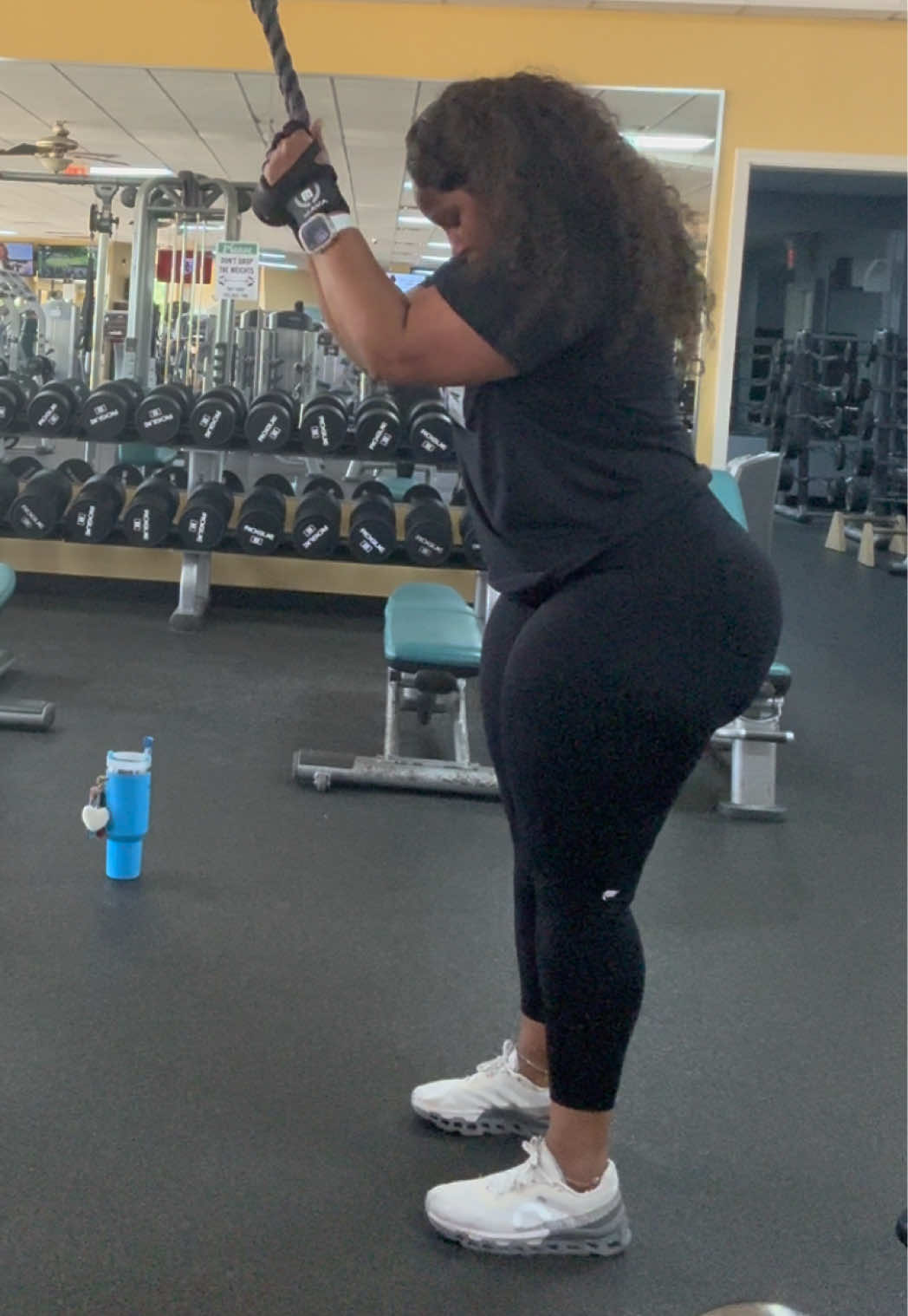 @terra_711