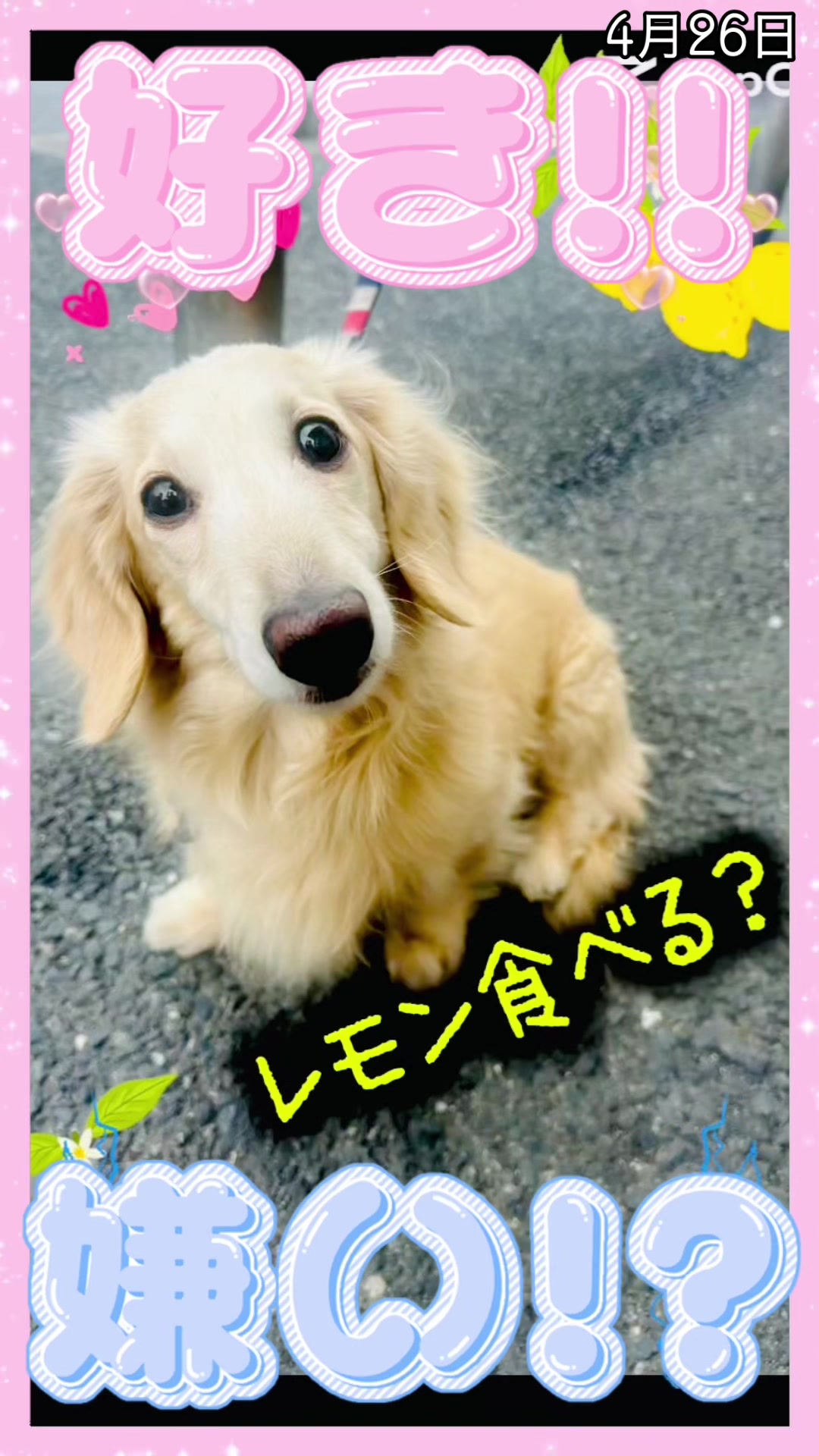 @☆vバニラv☆彡