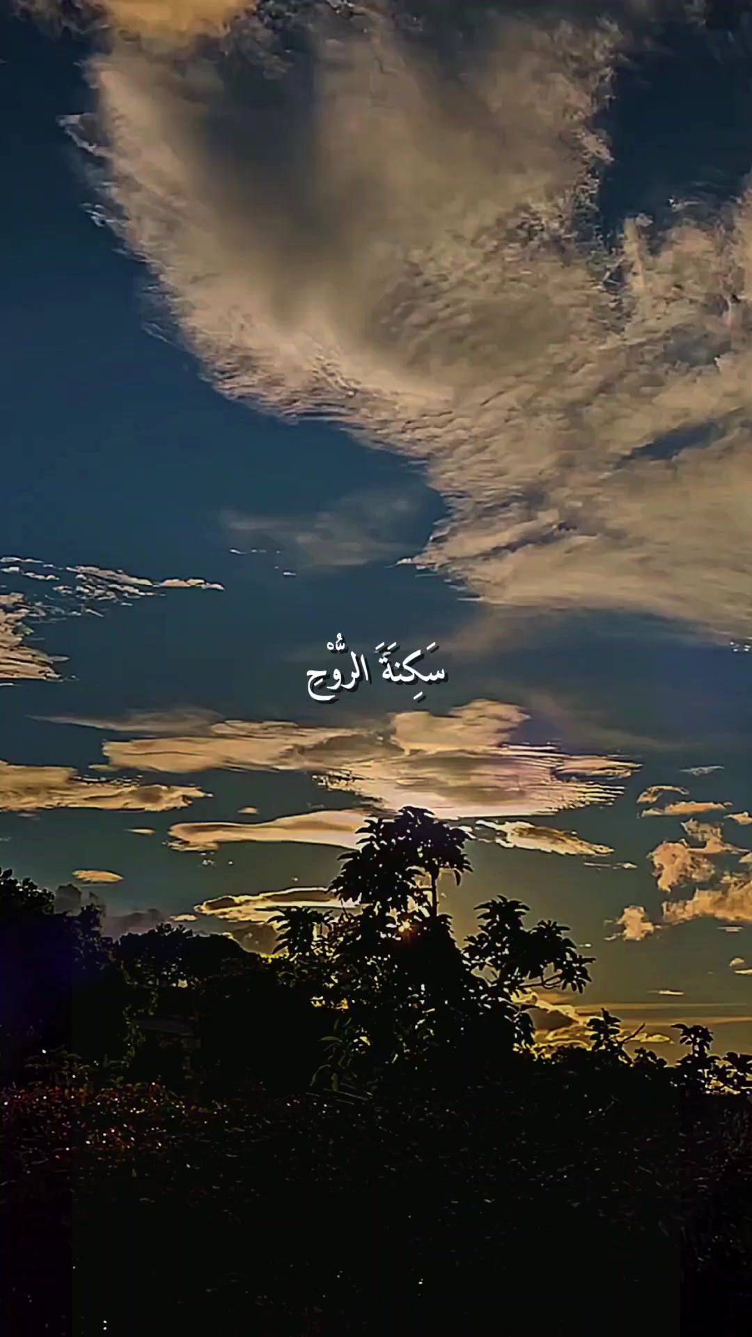 @𝐂 𝐔 ❌️ 𝐘