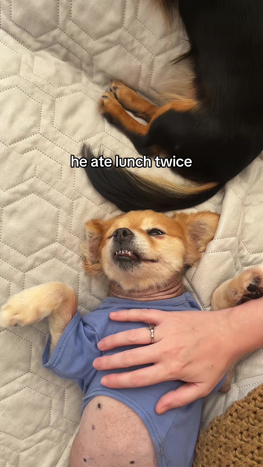 @kingpep