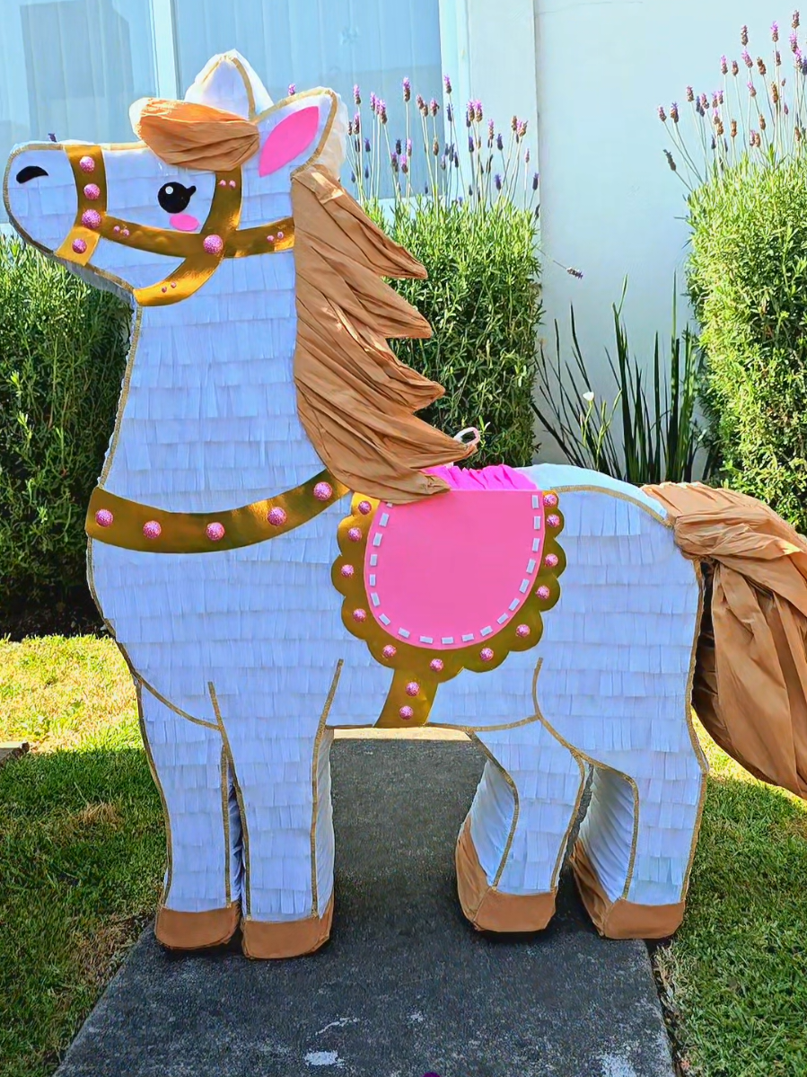 @Pi&ntilde;atas Nereida Garza