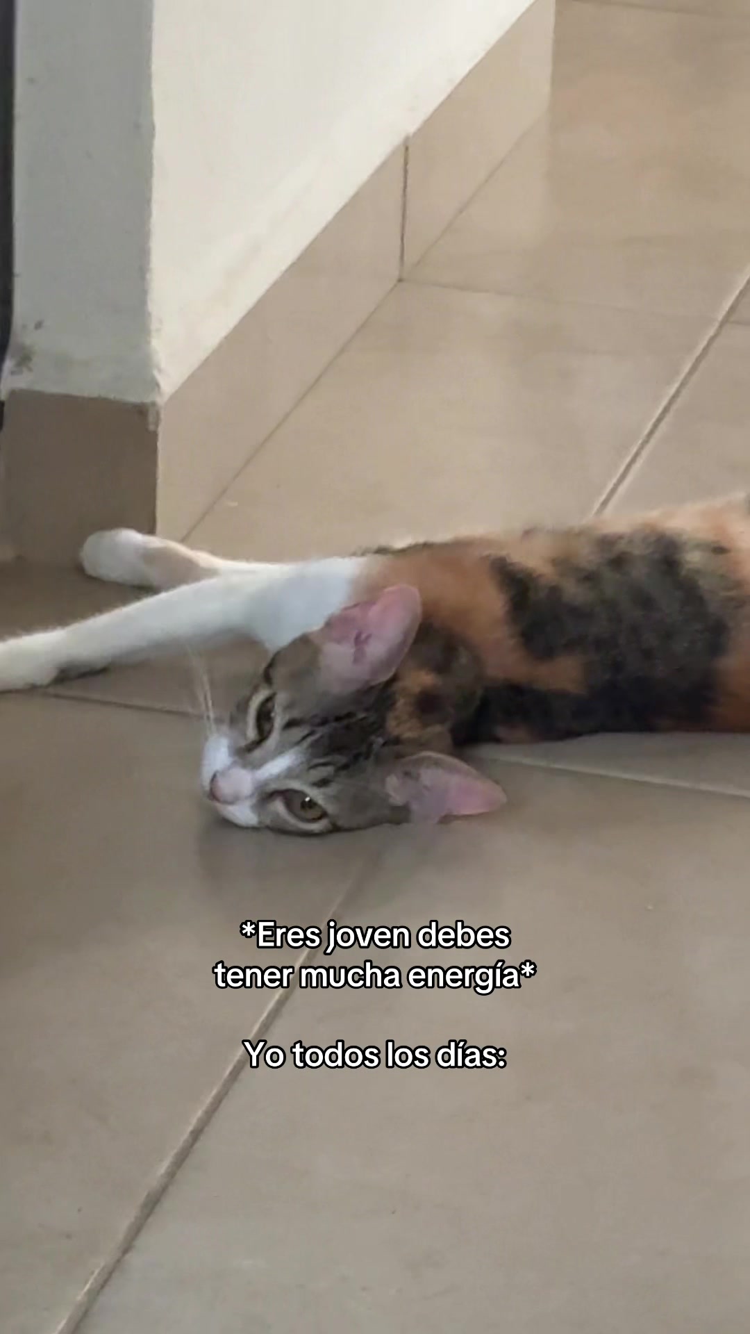 @Nina&figo