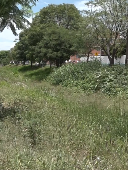 @Meganoticias Tehuac&aacute;n