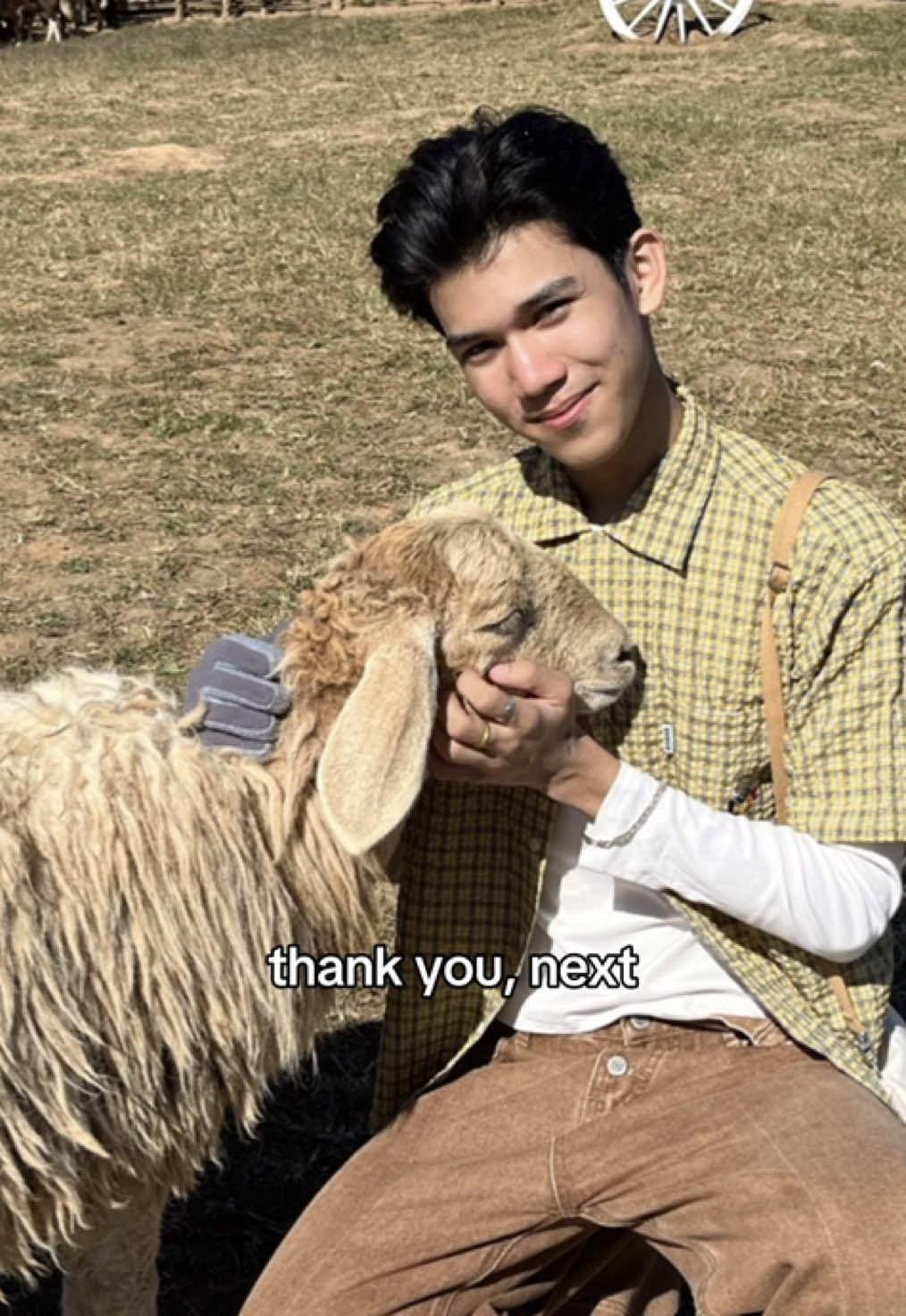 @Luven