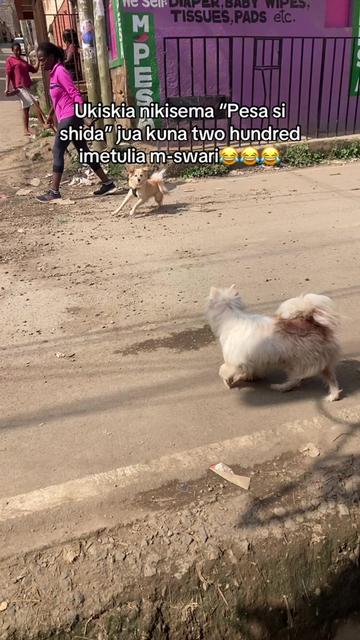 @đđȘđđČđđȘ đđȘđ»đČđđČđ