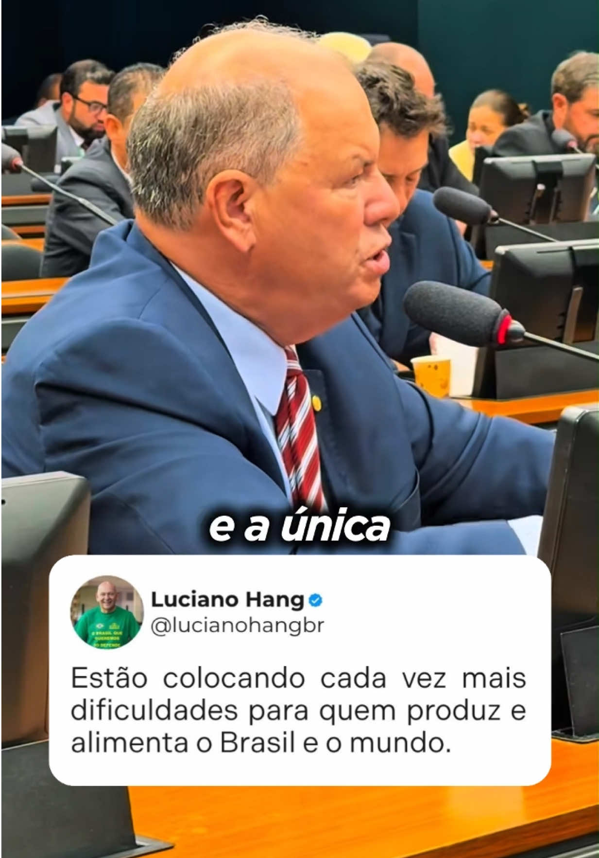 @V&eacute;io da Havan