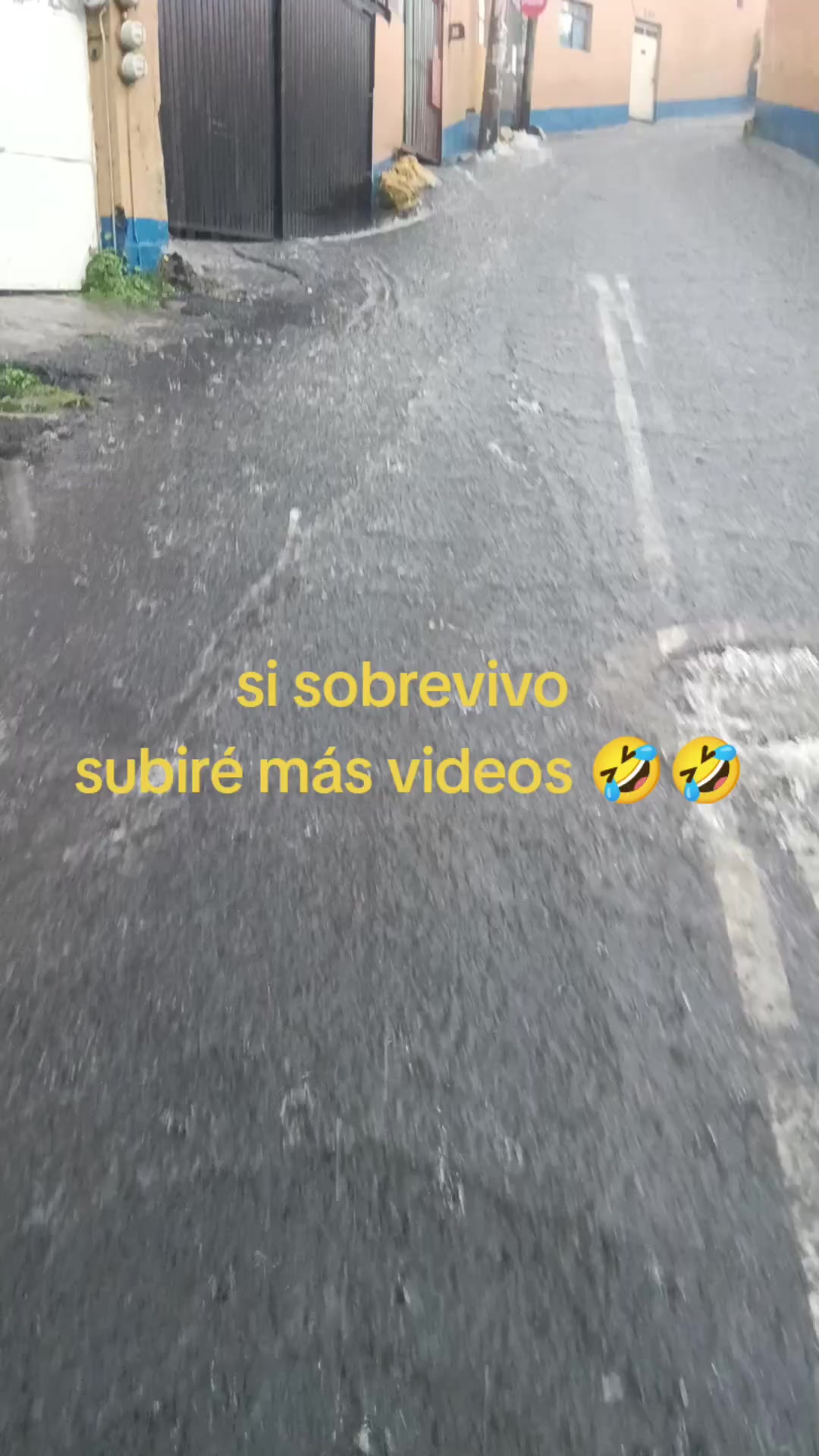 @Pantera Nidrgil