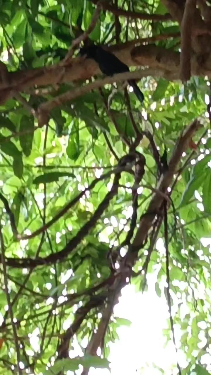 @เมษาราศีเมษ