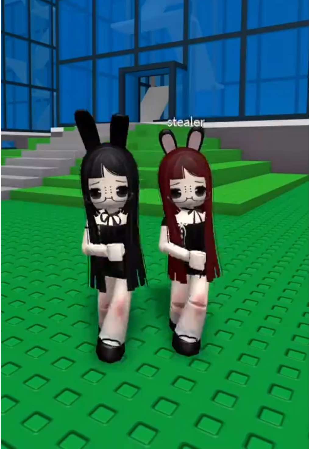 @/ᐠ - ˕ -マ Ⳋ