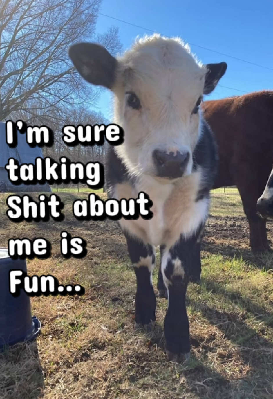 @Georgia Farm Girl