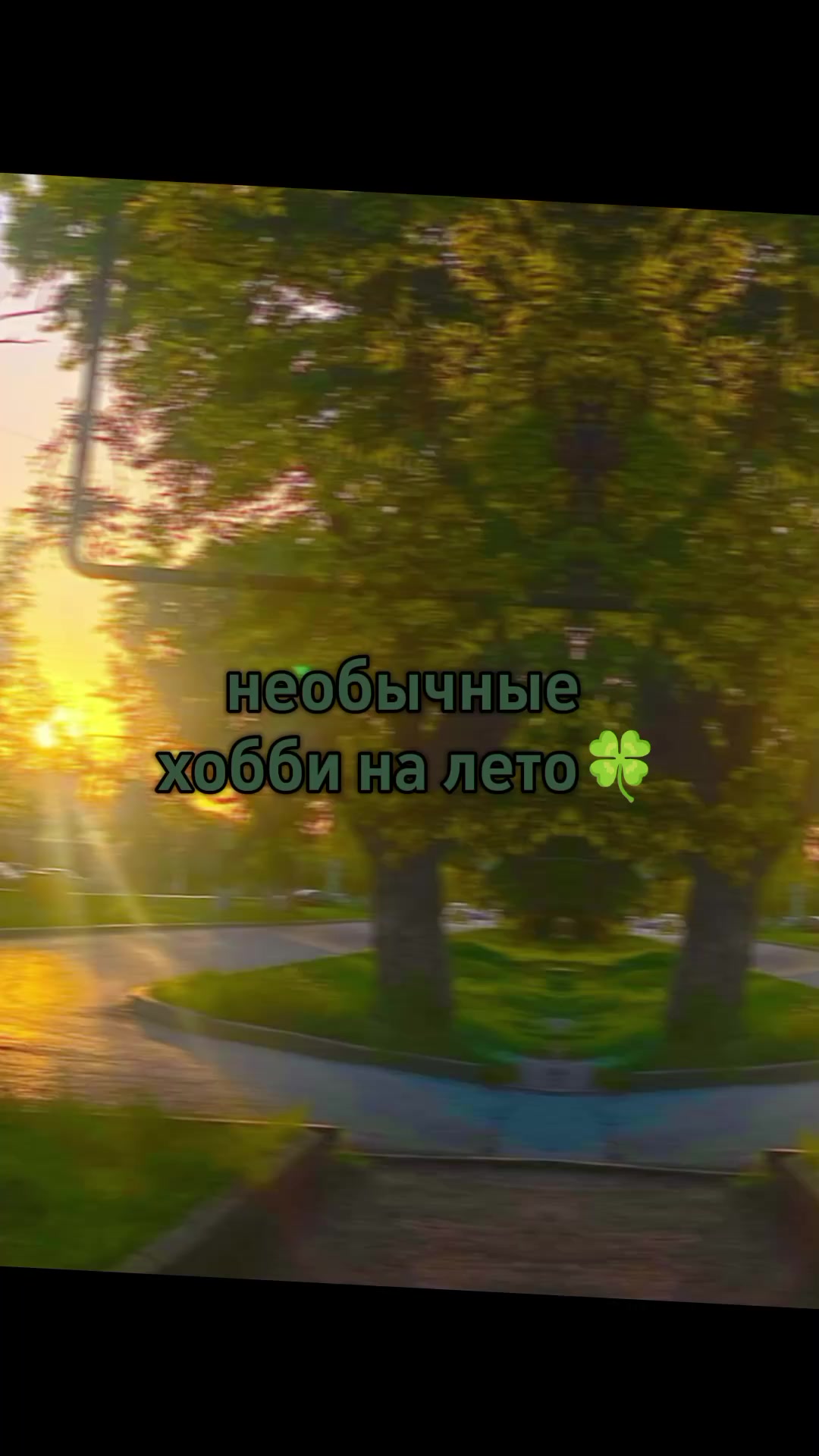 @🌾϶ᴧьɸ ᴧᴇᴛᴀ🍄