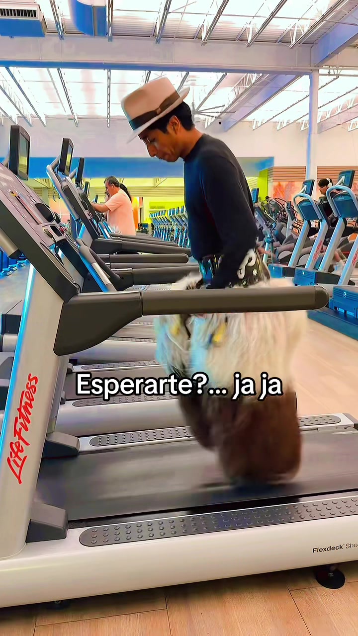 @🧠Go Diego Go🔥