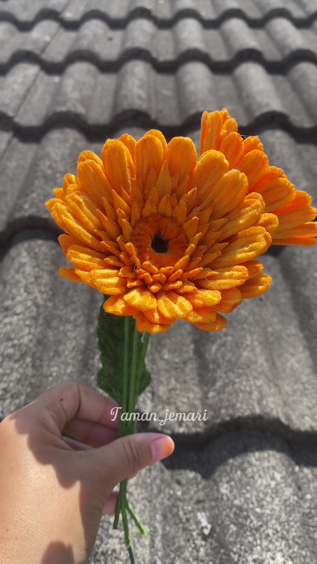 @TamanJemari1