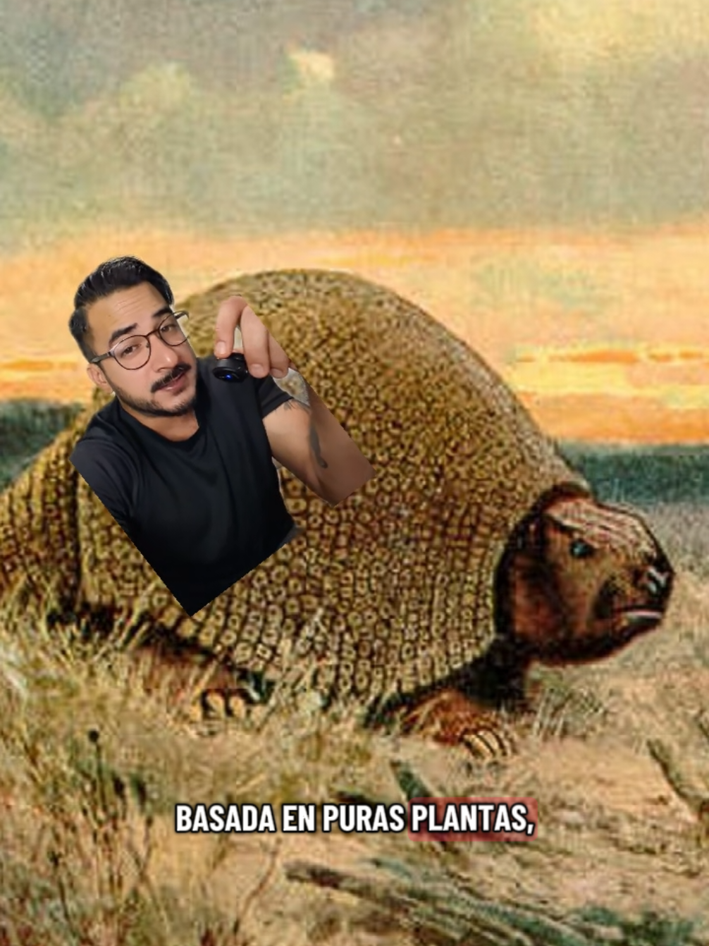 @nolosejose