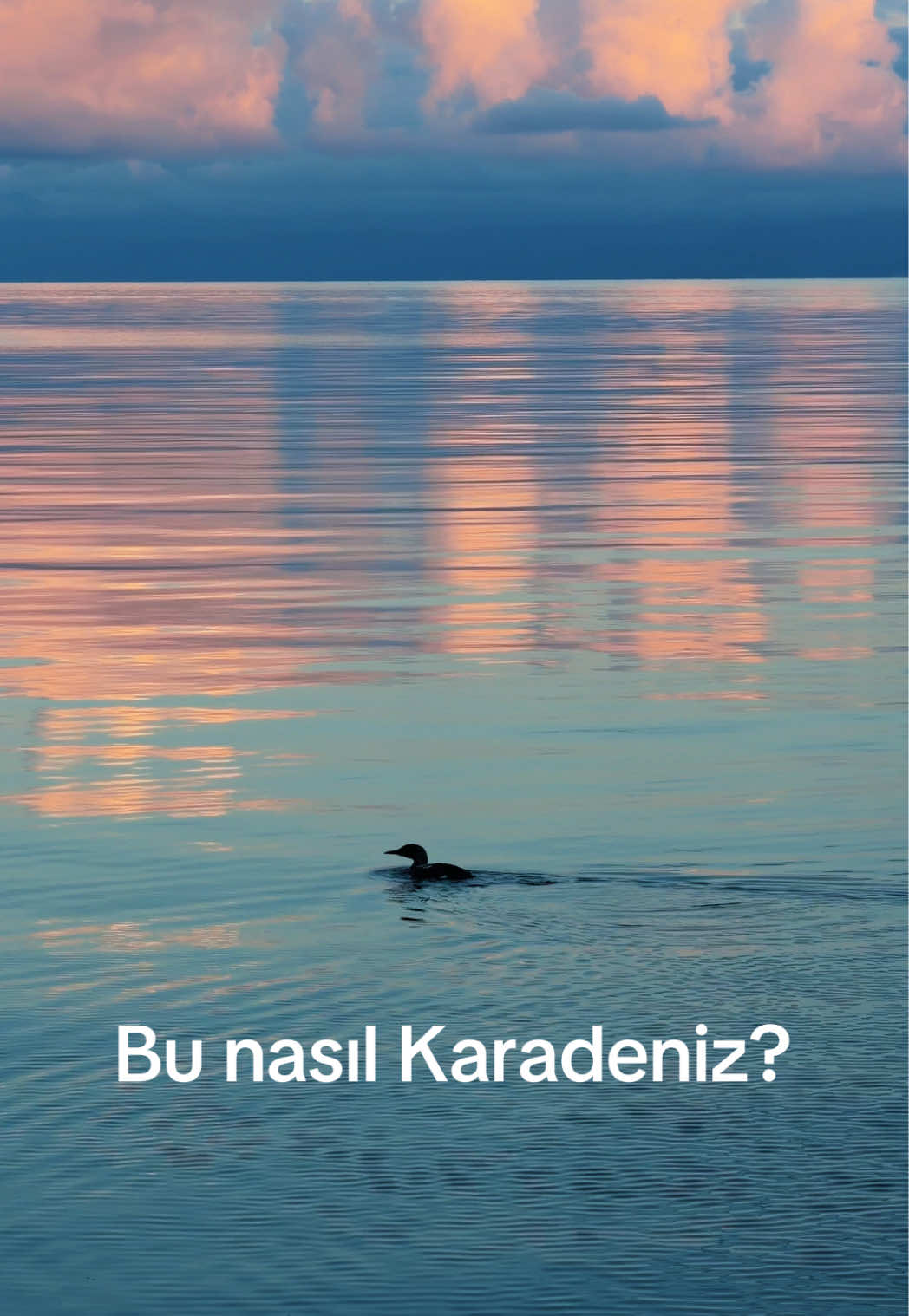 @bi.gunluk