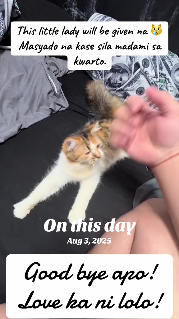 @TheCatFather