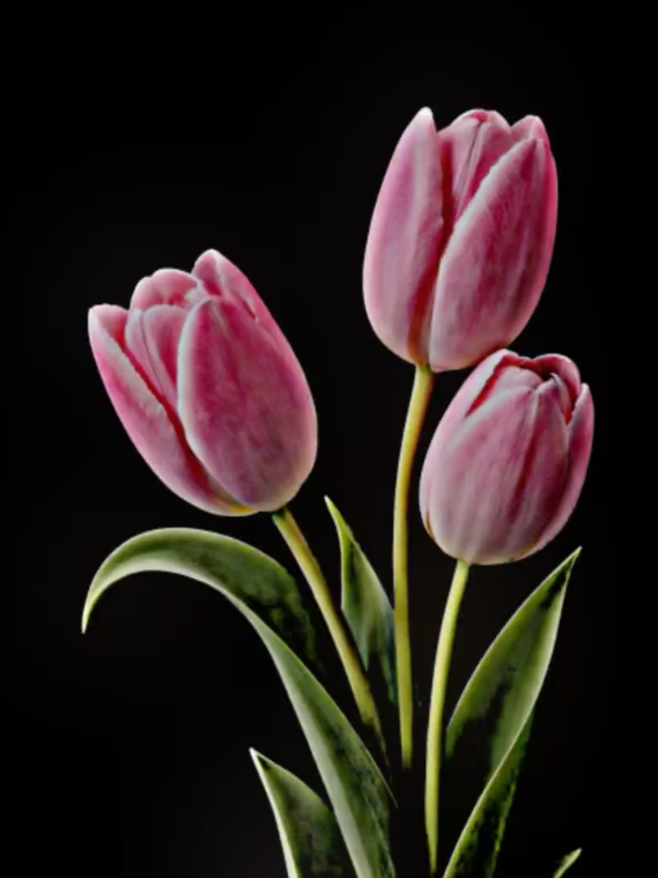 @𝐌𝐮𝐬𝐭𝐚