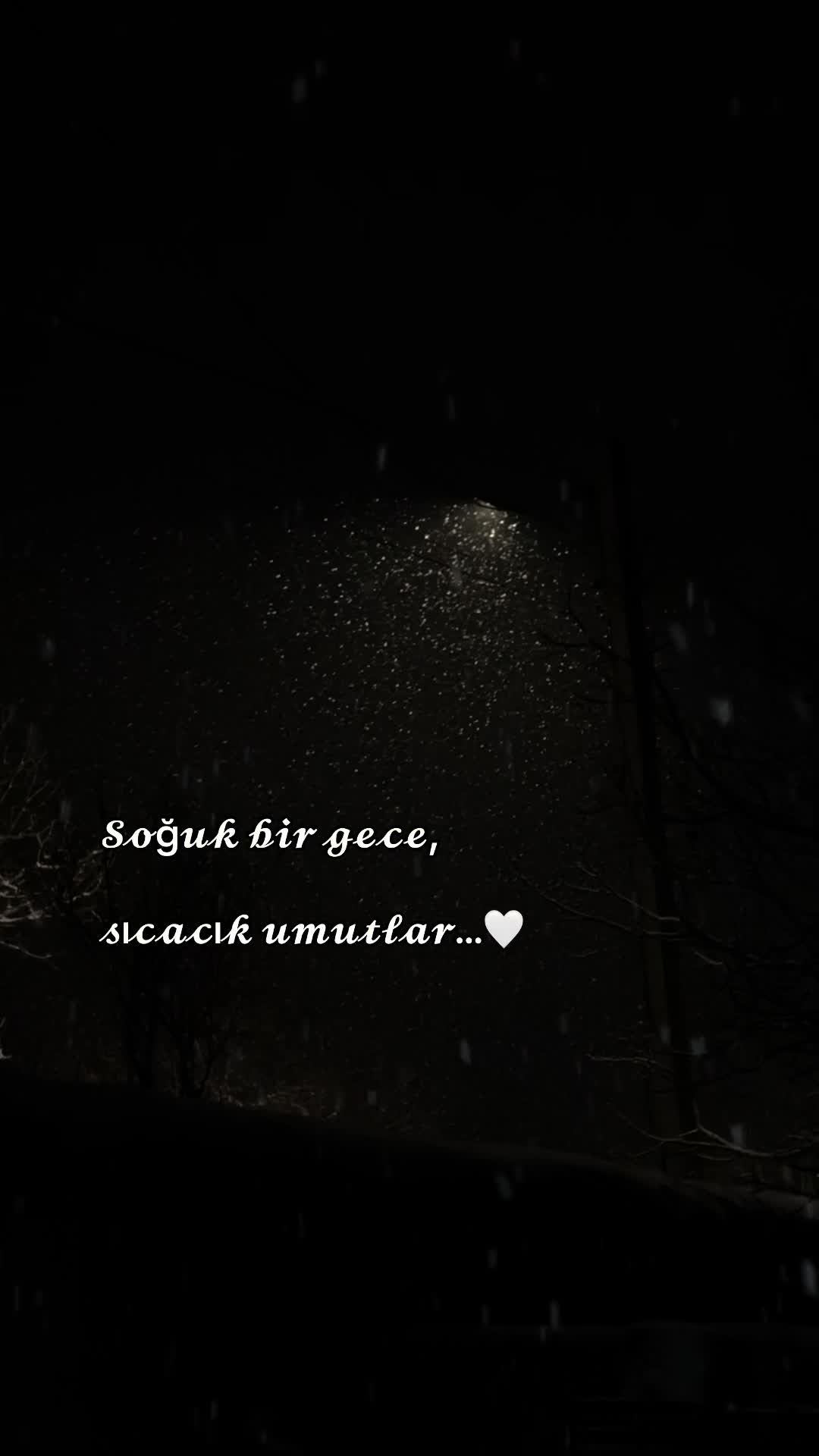 @userdii.076